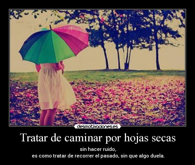 Tratar de caminar por hojas secas - sin hacer ruido,
es como tratar de recorrer el pasado, sin que algo duela.