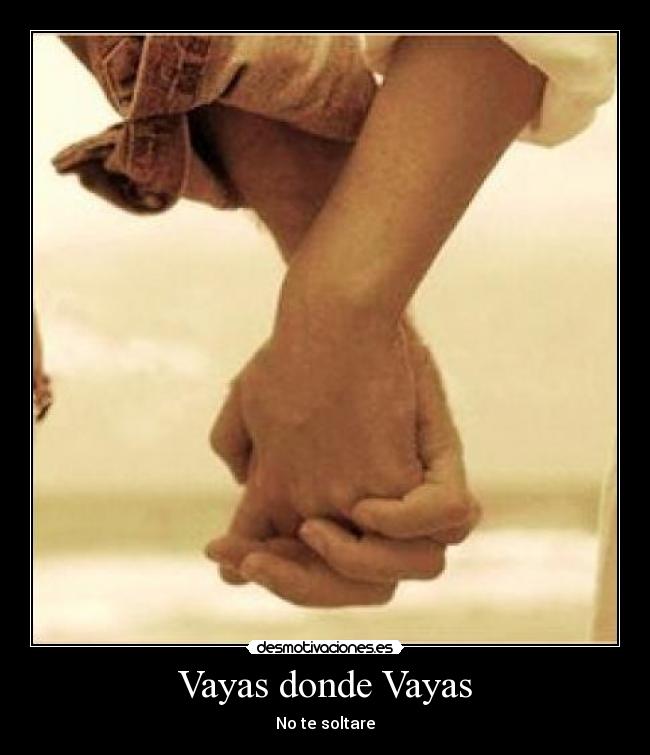 Vayas donde Vayas -