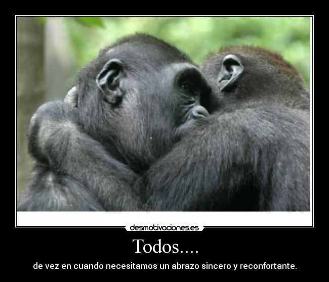 Todos.... - 