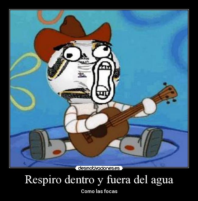 Respiro dentro y fuera del agua - Como las focas