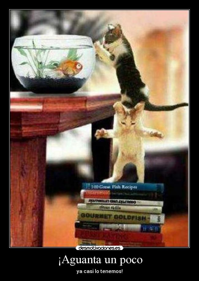 ¡Aguanta un poco - ya casi lo tenemos!