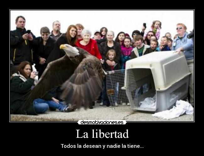 La libertad -