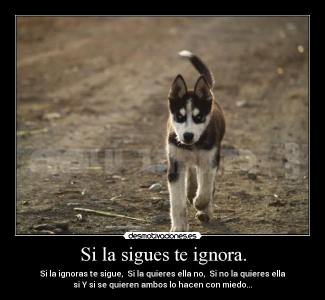 carteles karim desmotivaciones