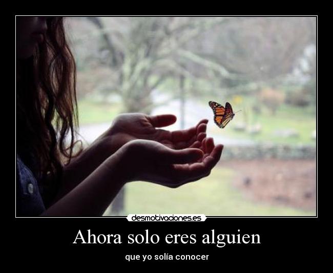Ahora solo eres alguien - 