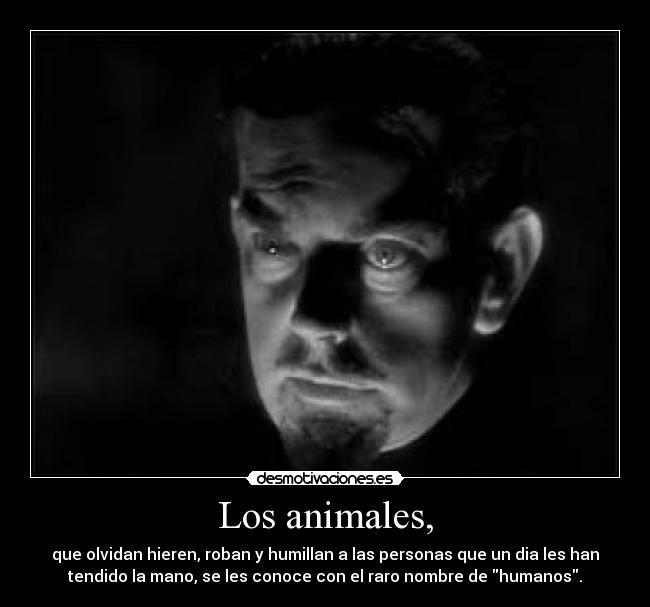 Los animales, - que olvidan hieren, roban y humillan a las personas que un dia les han
tendido la﻿ mano, se les conoce con el raro nombre de humanos.