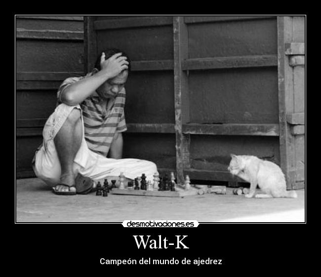 Walt-K - Campeón del mundo de ajedrez