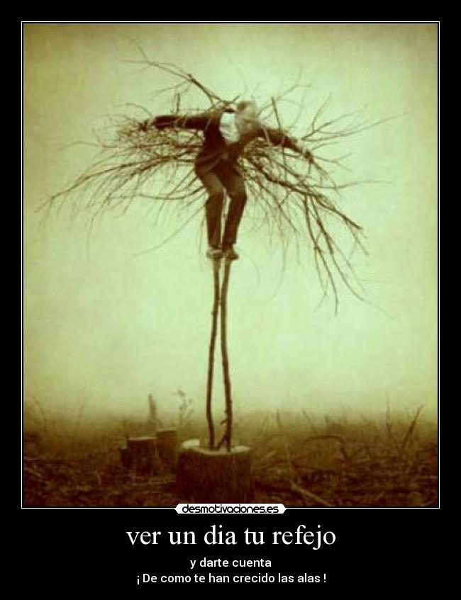 ver un dia tu refejo -