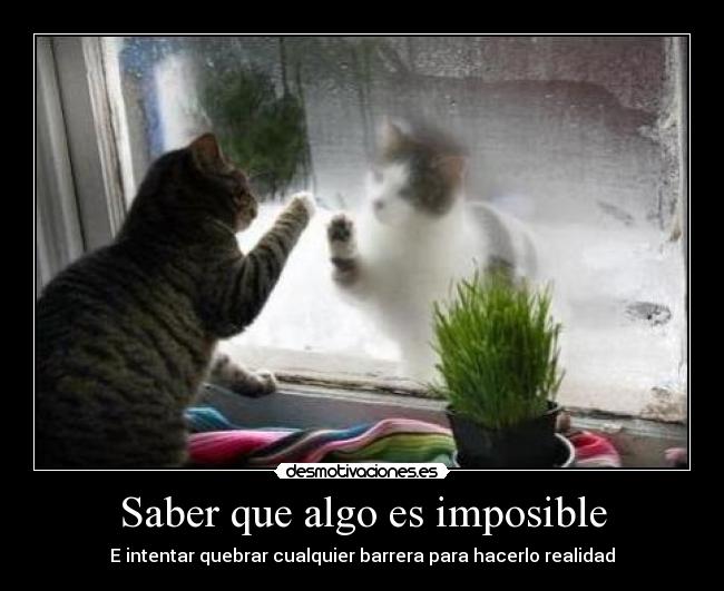 Saber que algo es imposible - E intentar quebrar cualquier barrera para hacerlo realidad