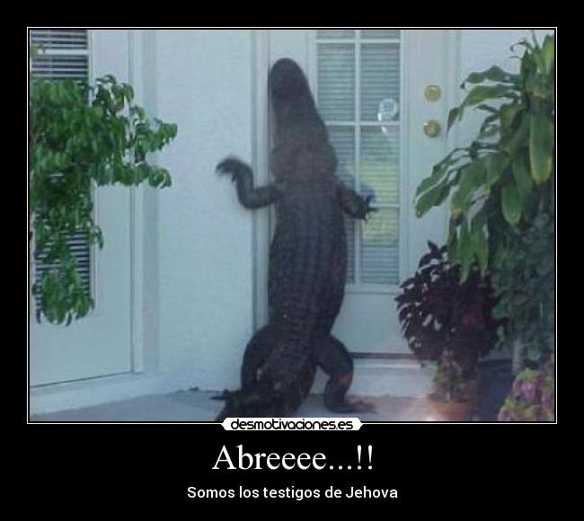 Abreeee...!! -