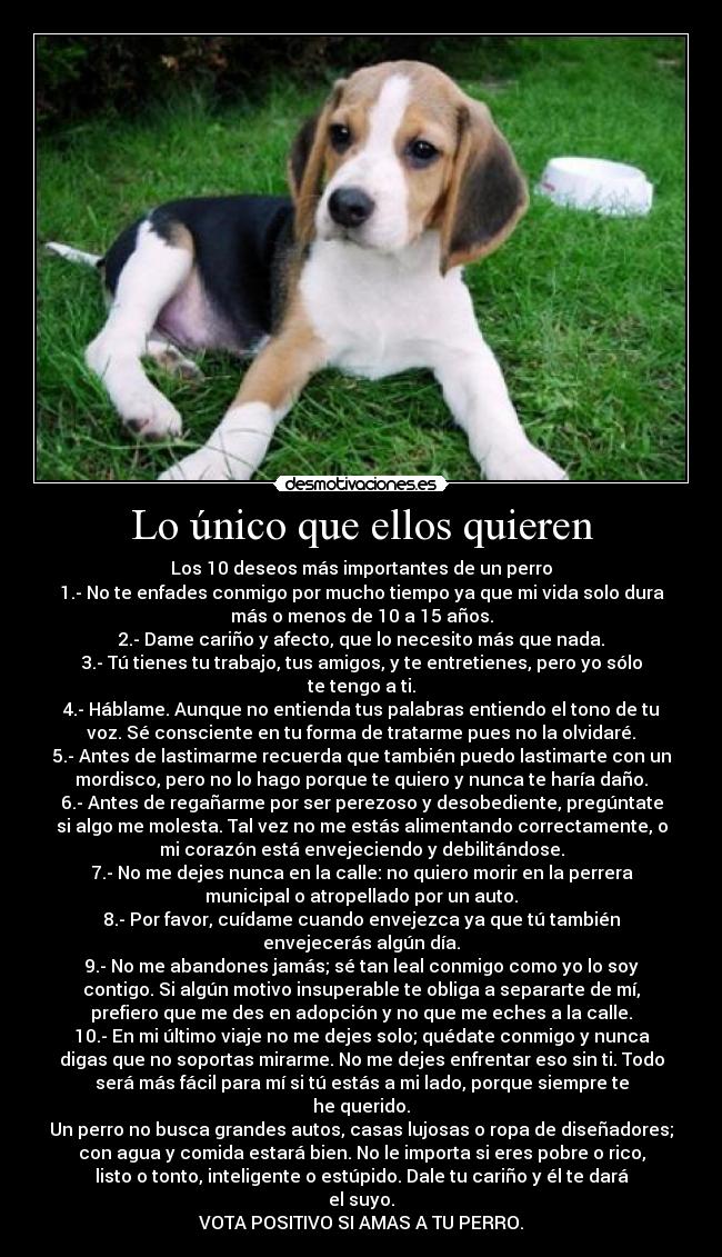 Lo único que ellos quieren - 