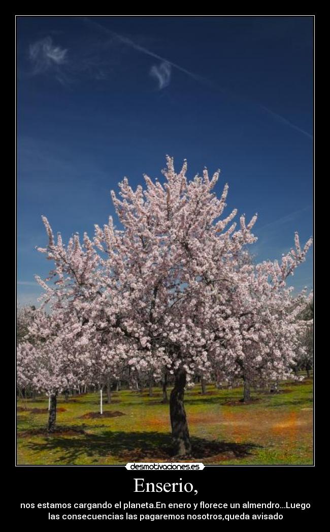 Enserio, - nos estamos cargando el planeta.En enero y florece un almendro...Luego
las consecuencias las pagaremos nosotros,queda avisado