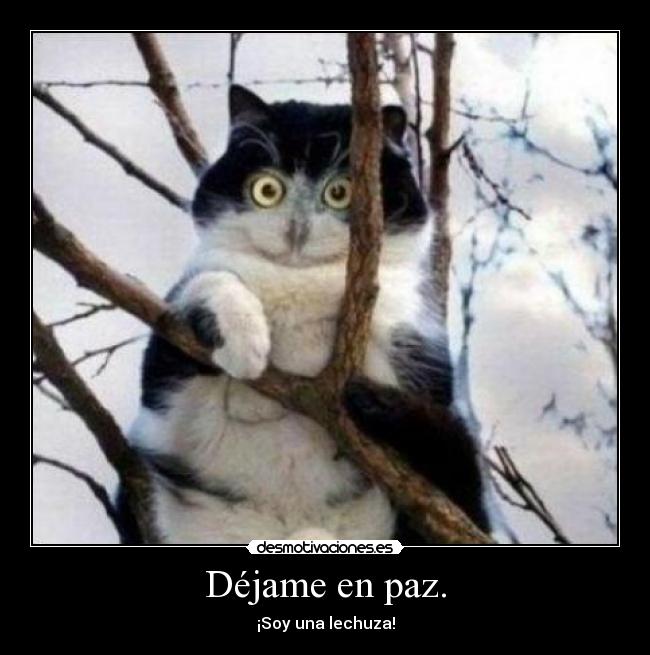 Déjame en paz. -