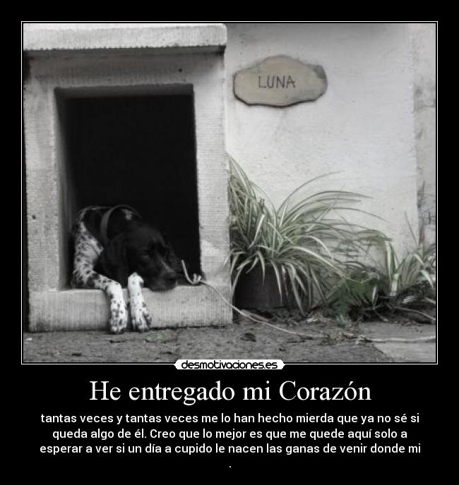 He entregado mi Corazón - 