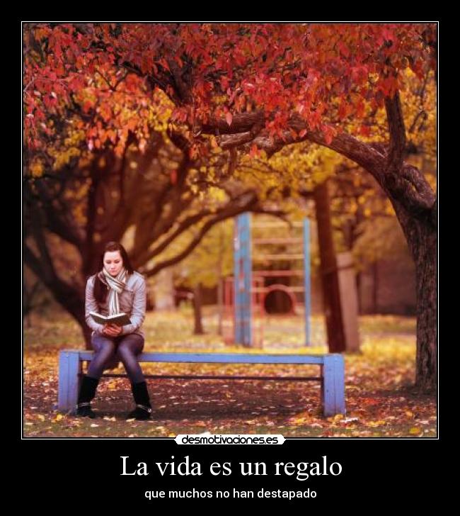 carteles vida lol desmotivaciones