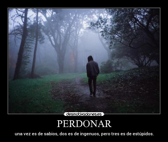 PERDONAR - una vez es de sabios, dos es de ingenuos, pero tres es de estúpidos.