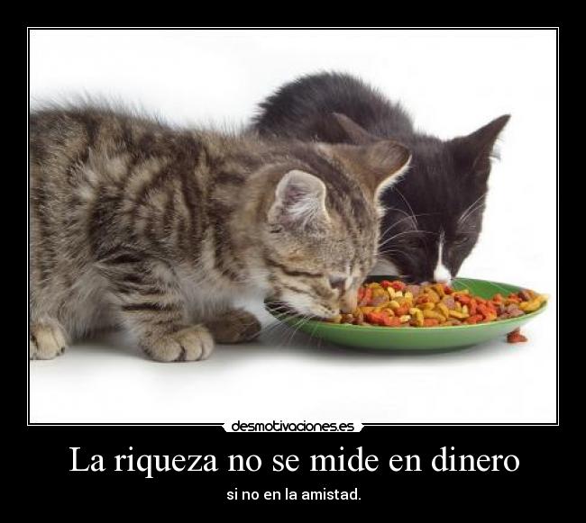 La riqueza no se mide en dinero - si no en la amistad.
