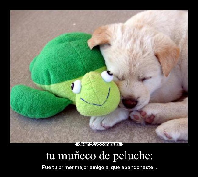 tu muñeco de peluche: - Fue tu primer mejor amigo al que abandonaste ..