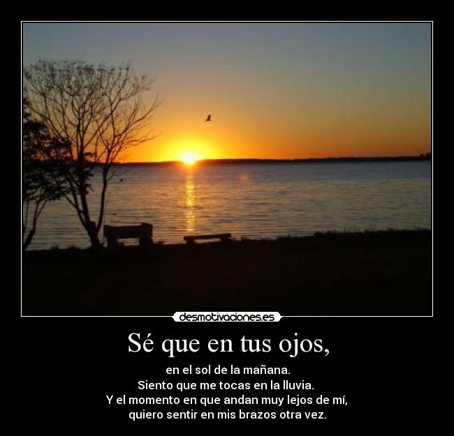 Sé que en tus ojos, -