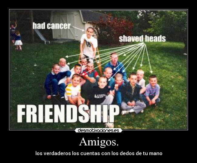 carteles amigos amigos desmotivaciones