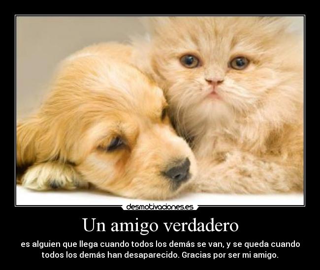 Un amigo verdadero - es alguien que llega cuando todos los demás se van, y se queda cuando
todos los demás han desaparecido. Gracias por ser mi amigo.