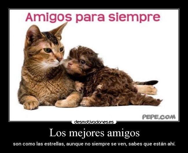 Los mejores amigos -