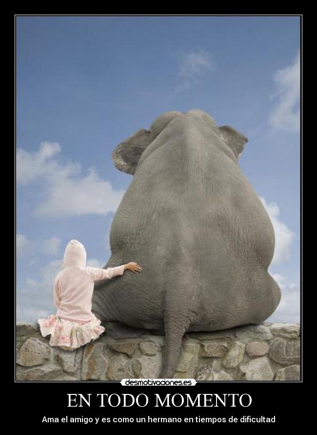 carteles amistad desmotivaciones