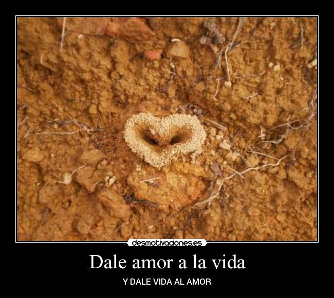 Dale amor a la vida - Y DALE VIDA AL AMOR