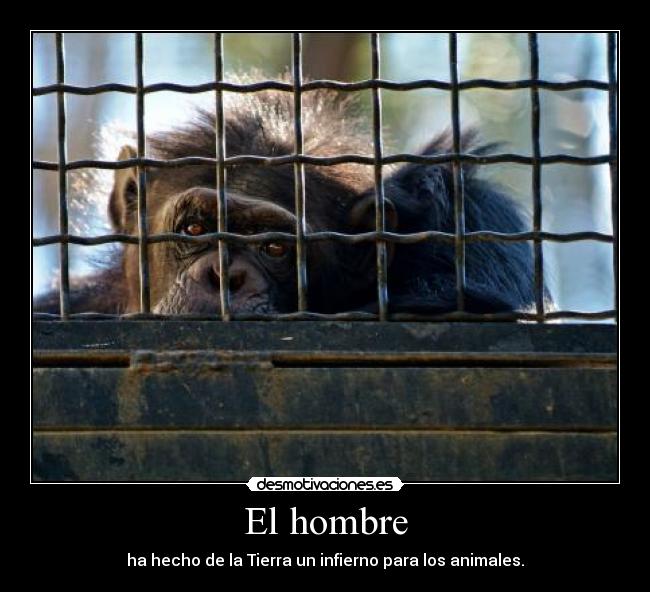El hombre - 