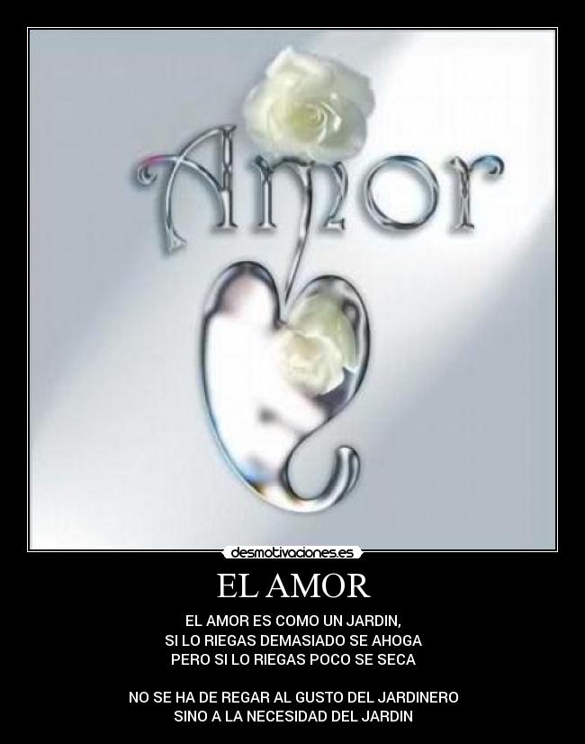 EL AMOR - 