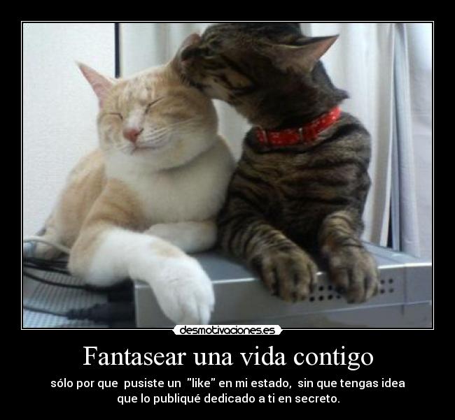 Fantasear una vida contigo -