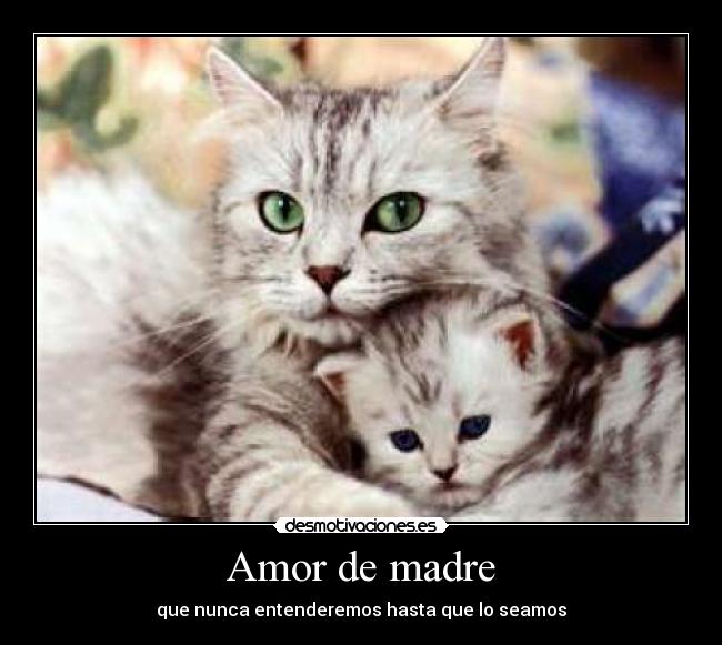 Amor de madre - que nunca entenderemos hasta que lo seamos