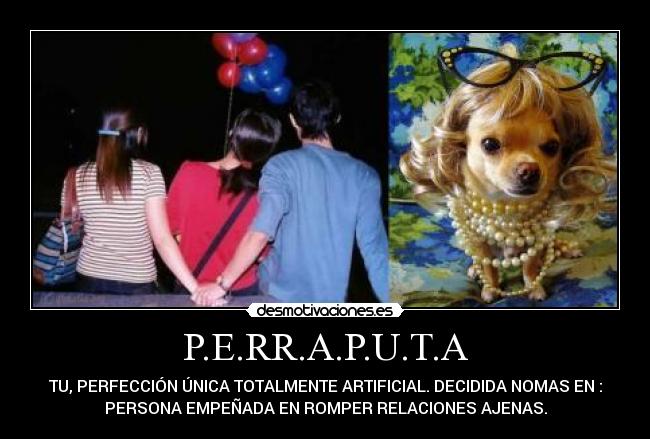 P.E.RR.A.P.U.T.A - TU, PERFECCIÓN ÚNICA TOTALMENTE ARTIFICIAL. DECIDIDA NOMAS EN :
PERSONA EMPEÑADA EN ROMPER RELACIONES AJENAS.