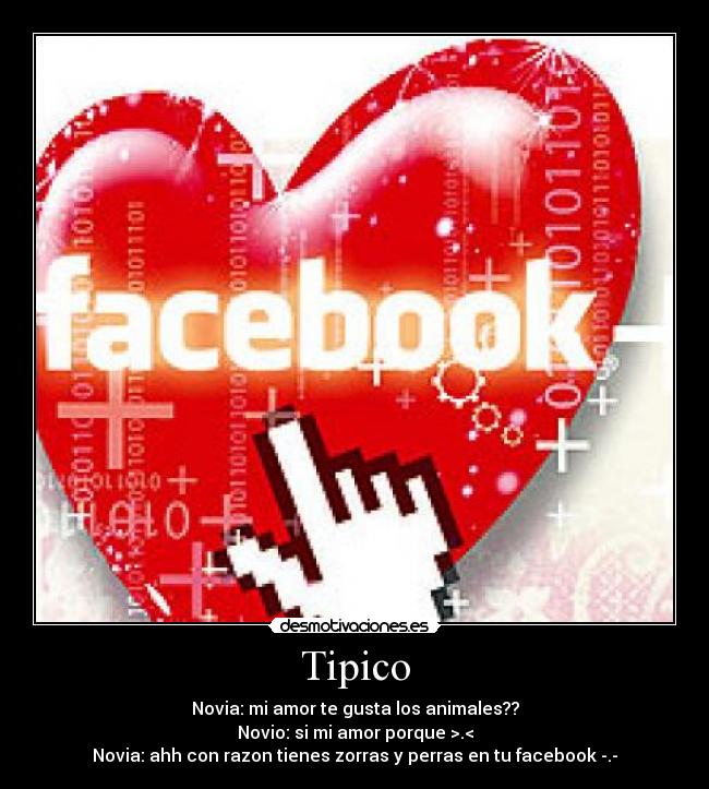 Tipico - 
