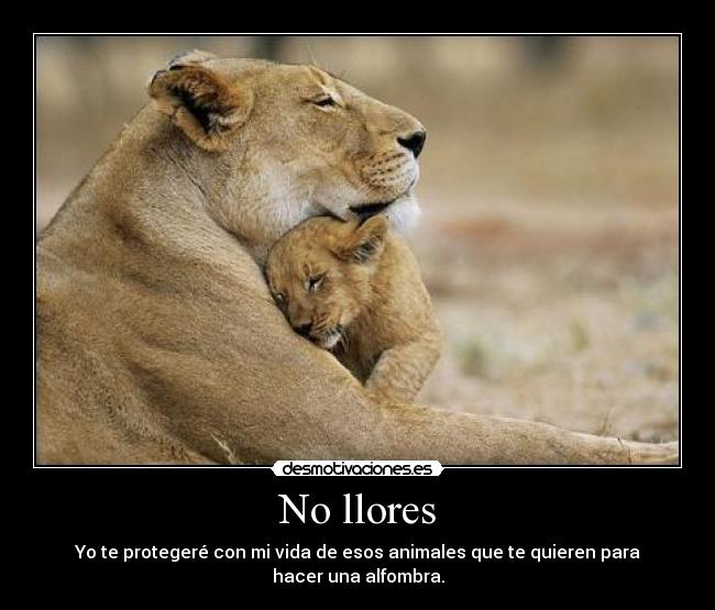 No llores -