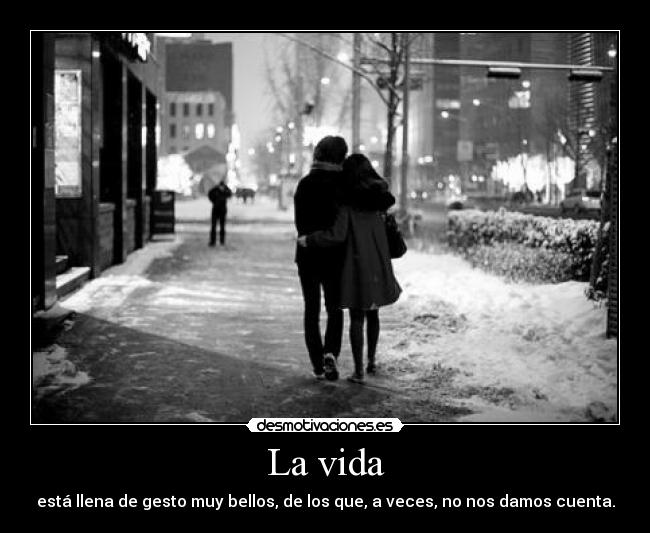 La vida - está llena de gesto muy bellos, de los que, a veces, no nos damos cuenta.