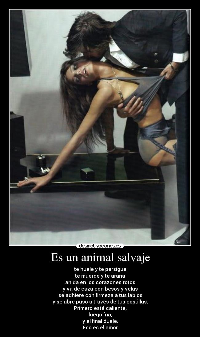 Es un animal salvaje - 