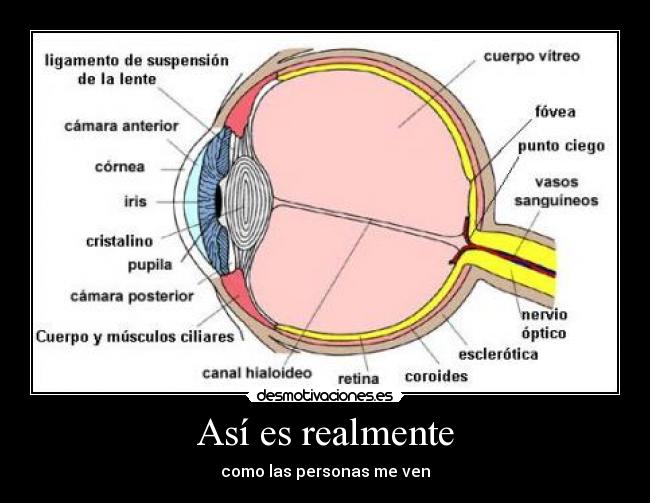 Así es realmente -