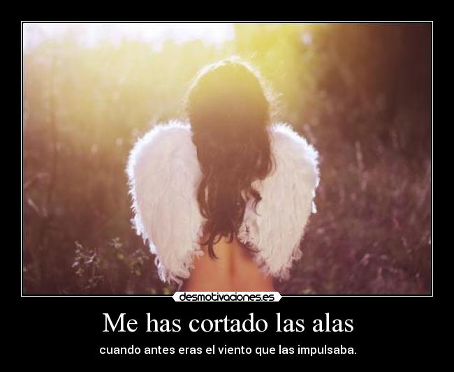 Me has cortado las alas - 