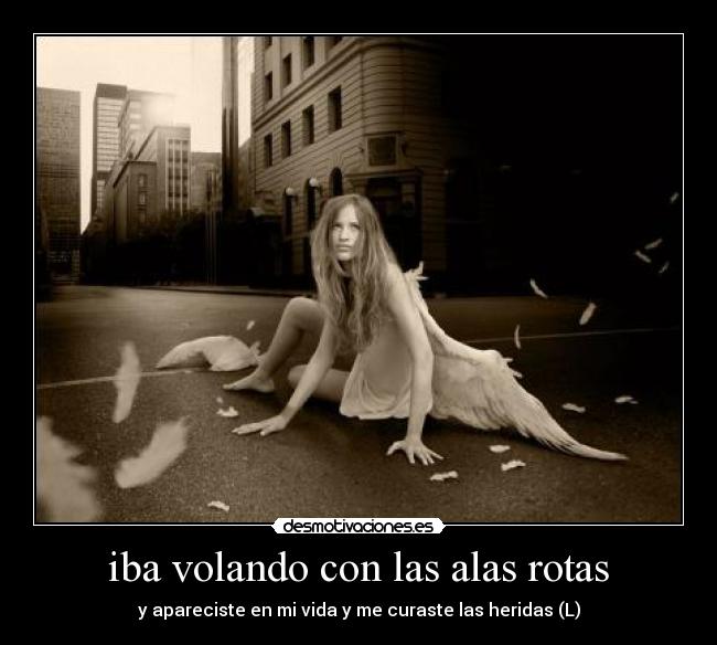 carteles iba volando con las alas rotas desmotivaciones