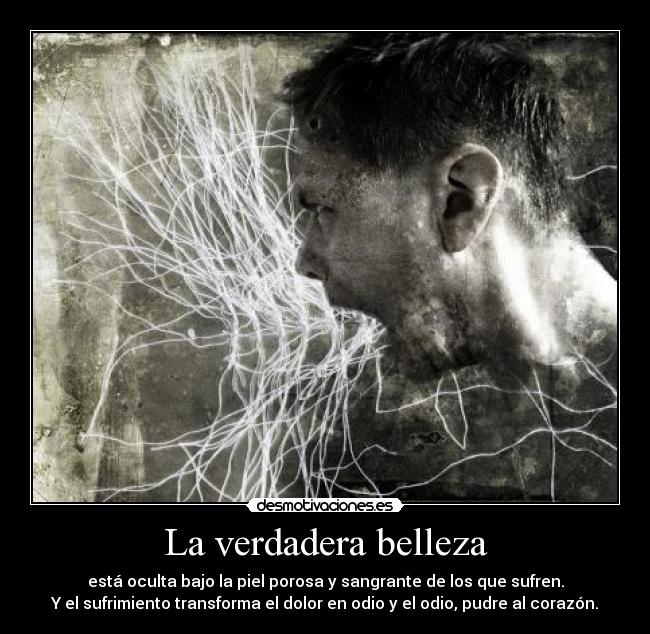 La verdadera belleza - 