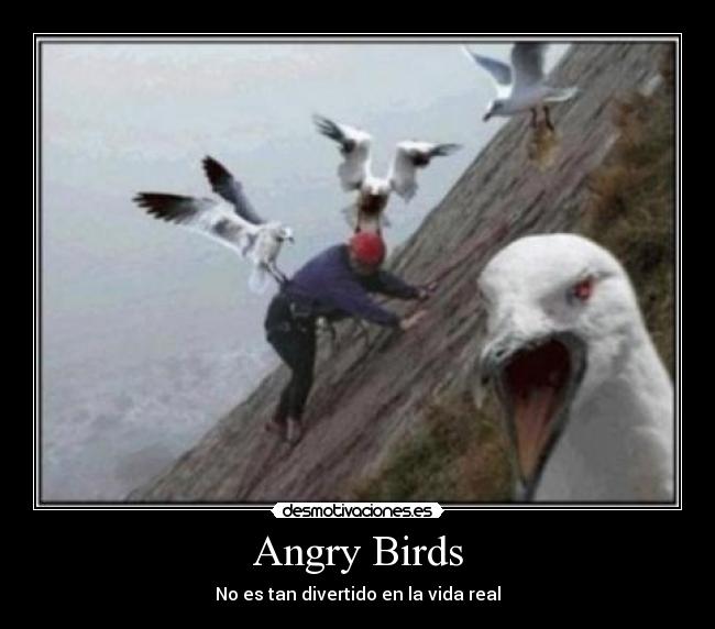 Angry Birds - No es tan divertido en la vida real