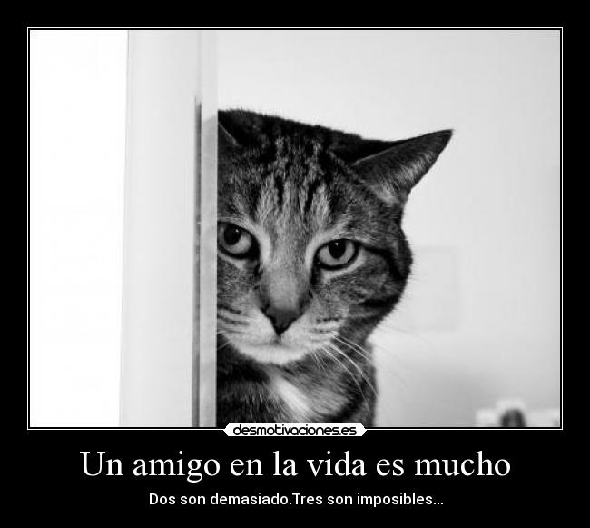 Un amigo en la vida es mucho -
