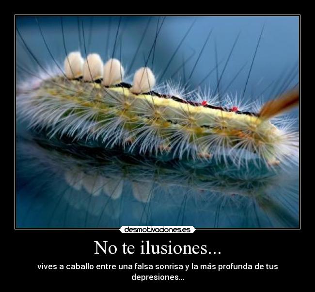 carteles alma pena desmotivaciones