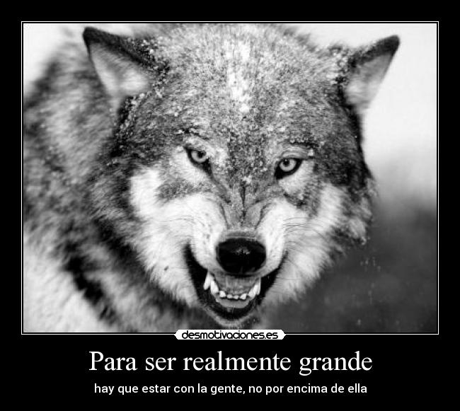 Para ser realmente grande - hay que estar con la gente, no por encima de ella