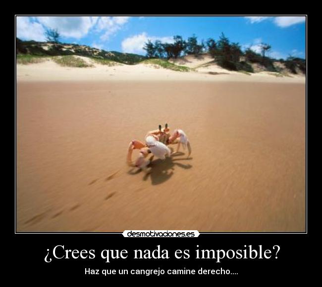 carteles imposible alma pena desmotivaciones