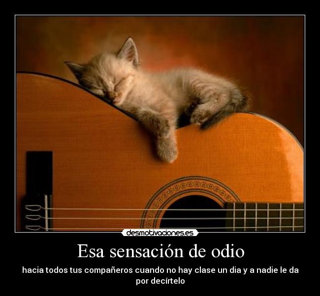 carteles odio alma pena desmotivaciones