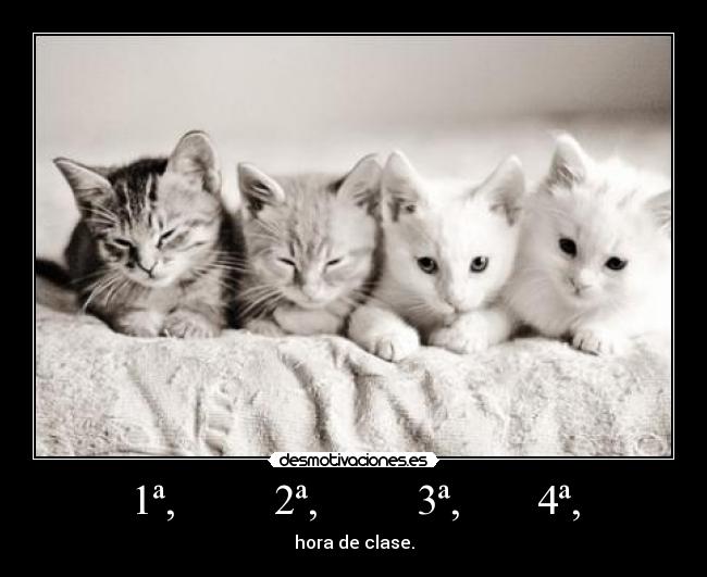 1ª,         2ª,         3ª,       4ª, - hora de clase.