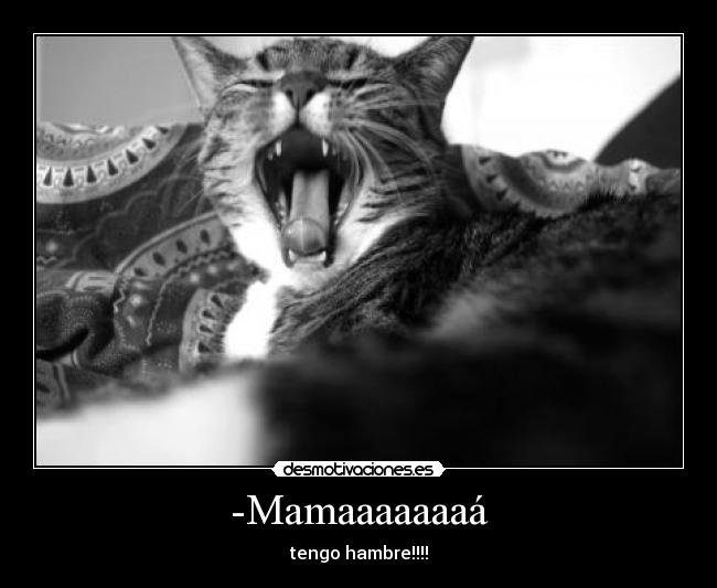 -Mamaaaaaaaá - tengo hambre!!!!