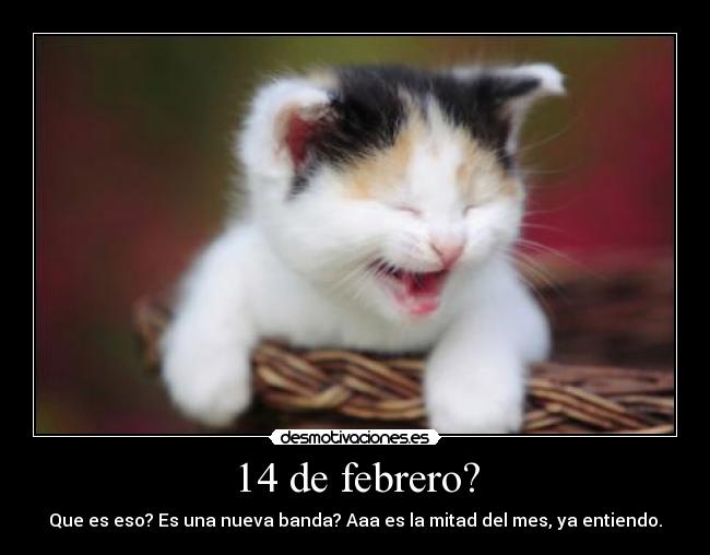 14 de febrero? - 