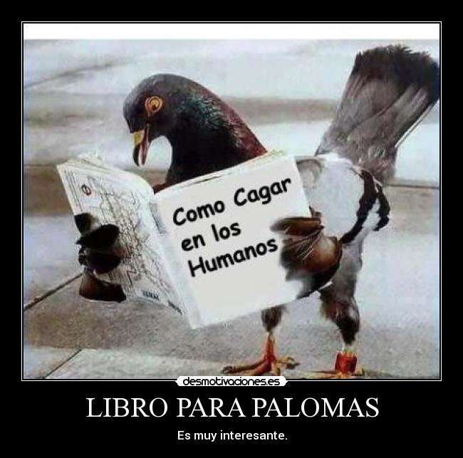LIBRO PARA PALOMAS - Es muy interesante.